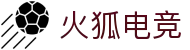 火狐电竞·(中国区)电子竞技平台